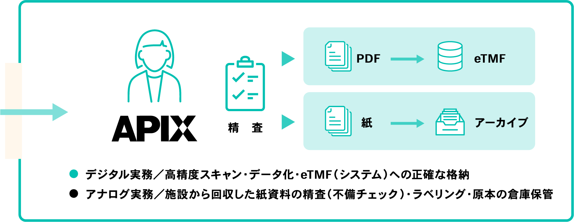 APIX：デジタル実務／高精度スキャン・データ化・eTMF（システム）への正確な格納、アナログ実務／施設から回収した紙資料の精査（不備チェック）・ラベリング・原本の倉庫保管
